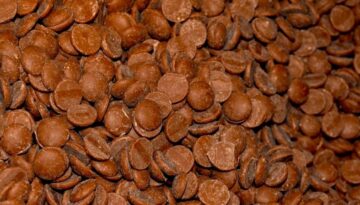 Chocolate Chip