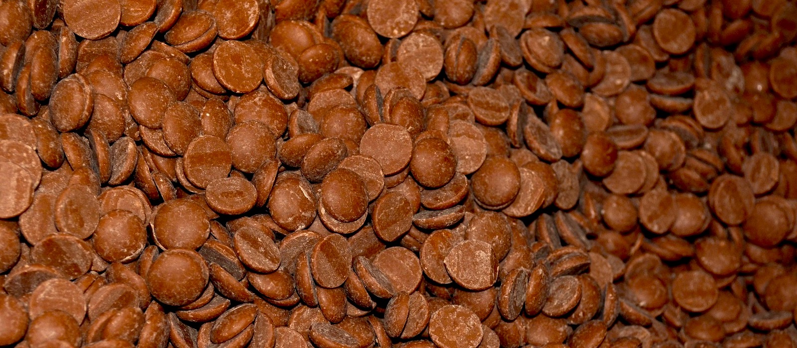 Chocolate Chip