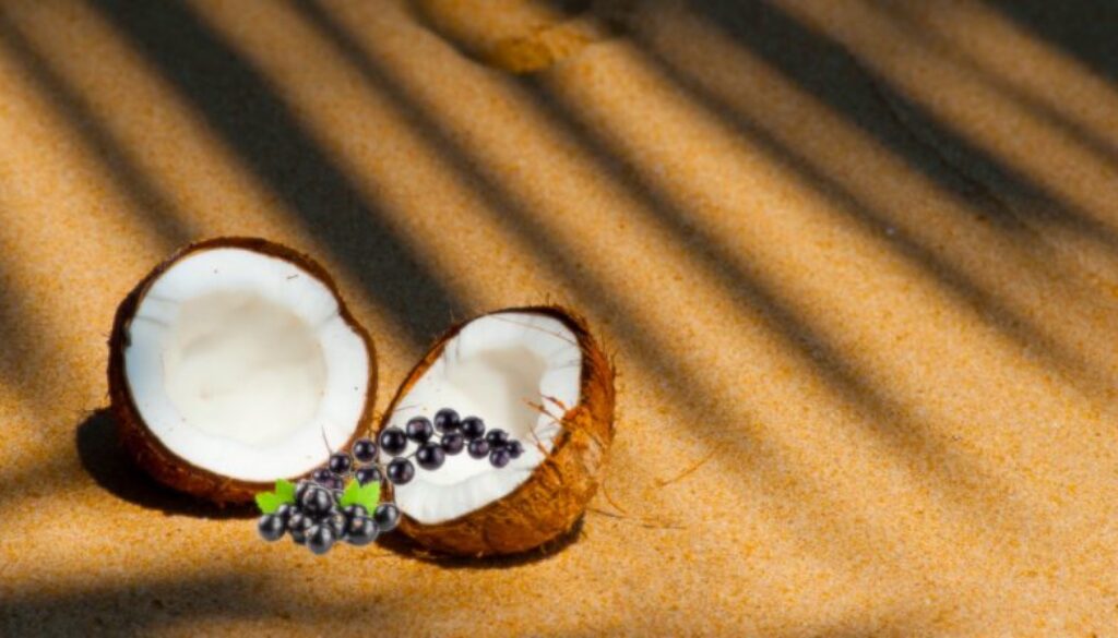 Coconut and Blackcurrant
